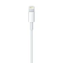 Καλώδιο Apple Lightning to USB (0.5 m)