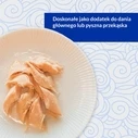 Λιχουδιές/Σνακ Γάτας Inaba Grilled Chicken Fillet in chicken flavored broth 25 g