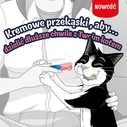 Λιχουδιές/Σνακ Γάτας Purina Felix Deli Moments Salmon 4x10g