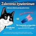 Λιχουδιές/Σνακ Γάτας Purina Felix Deli Moments Salmon 4x10g