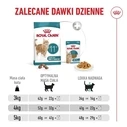 Ξηρά Τροφή Γάτας Royal Canin Ageing 11+ 2kg