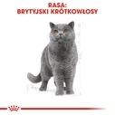 Ξηρά Τροφή Γάτας Royal Canin FBN British Shorthair Adult dry cat food - 10 kg