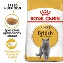 Ξηρά Τροφή Γάτας Royal Canin FBN British Shorthair Adult dry cat food - 10 kg