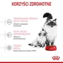Ξηρά Τροφή Γάτας Royal Canin Mother & Babycat cats 2 kg