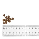 Ξηρά Τροφή Σκύλων Bult Duck and Turkey Puppy 3kg