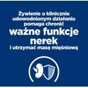 Ξηρά Τροφή Σκύλων Hill's PD K/D Kidney Care Original 4kg