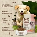 Ξηρά Τροφή Σκύλων Raw Paleo Healthy Grain Puppy Salmon and barley 10 kg