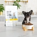 Ξηρά Τροφή Σκύλων Raw Paleo Ultra Mini Puppy Turkey - for puppies - 8 kg