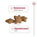 Ξηρά Τροφή Σκύλων Royal Canin Adult Mini S 4kg