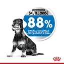 Ξηρά Τροφή Σκύλων Royal Canin CCN MINI LIGHT WEIGHT CARE - for adult dogs - 3kg