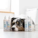 Σαμπουάν για Σκύλους Vetexpert Clinic Care microBiome Balance - for dogs and cats - 250 ml