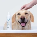 Σαμπουάν για Σκύλους Vetexpert Hypoallergenic Shampoo - shampoo for dogs and cats - 250ml