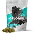 Συμπλήρωμα Διατροφής GELOREN Horse HA Joints - vitamins for horses - 450g