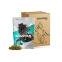 Συμπλήρωμα Διατροφής GELOREN Horse HA Joints - vitamins for horses - 450g
