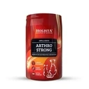Συμπλήρωμα Διατροφής Holista Arthro Strong - for dogs and cats - 200g
