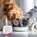 Συμπλήρωμα Διατροφής JM Sante Vet Protector Gastro - Biotyk - multibiotic for dogs and cats – 60 g