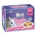 Υγρή Τροφή Γάτας Brit Premium Family Plate Fillets in Jelly Mix of Flavors 12x85g