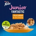 Υγρή Τροφή Γάτας Felix Fanstastic Junior 85 g