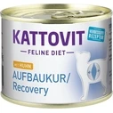 Υγρή Τροφή Γάτας Kattovit Feline Diet Aufbaukur Recovery 185g