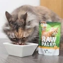 Υγρή Τροφή Γάτας Raw Paleo Adult Cat Turkey 100 g