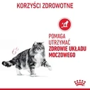 Υγρή Τροφή Γάτας Royal Canin Urinary Care in Gravy 12x85g