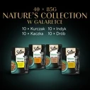 Υγρή Τροφή Γάτας Sheba Nature's Collection Poultry Flavors in jelly 40 x 85g
