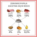 Υγρή Τροφή Σκύλων Pupil Premium All Meat Venison 800g