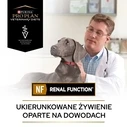 Υγρή Τροφή Σκύλων Purina Pro Plan Veterinary Diets NF Renal Function 400 g