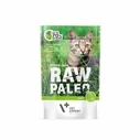 VET EXPERT Raw Paleo Adult Cat Sterilised Game - Wet Cat Food - 100 g