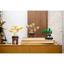 LEGO BOTANICALS 10373 Μίνι Μπονσάι Δέντρα