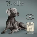 OLLO Pure Horse Mono - Υγρή Τροφή για Σκύλους 850 g (Άλογο)