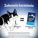 PURINA Felix Original Soup Time Box Fish - Υγρή τροφή για γάτες 6x48g