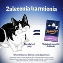 PURINA Felix Sauce Time - Υγρή Τροφή για Γάτες 6x40g