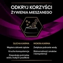 PURINA Pro Plan Veterinary Diets Feline UR St/Ox Urinary - Ξηρή τροφή για ενήλικες γάτες, 1,5 kg