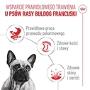 ROYAL CANIN French Bulldog Adult Digestive Health Loaf Box - Υγρή τροφή για Σκύλους - 12 x 85 g
