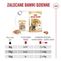 ROYAL CANIN French Bulldog Adult Digestive Health Loaf Box - Υγρή τροφή για Σκύλους - 12 x 85 g