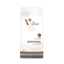 VETEXPERT Veterinary Diet Intestinal Dog - Ξηρή τροφή για σκύλους (Διαιτητική) - 2 kg