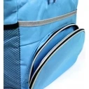 Promis Thermal Beach Bag Cooler Picnic Insulated Bag 16L (TL16N)