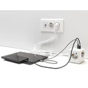 Πολύπριζο Delock 11497, 3x schuko, USB-C & 2x USB, 16A, 1.5m, λευκό