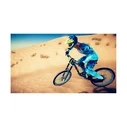 Descenders (Code In A Box) - Nintendo Switch