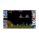 Arcade Stadium 1 & 2 (Code In A Box) Nintendo Switch - CAPCOM