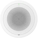 Ηχείο Εγκαταστάσεων Grandstream GSC3506 v2 multicast paging speaker