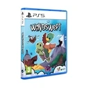 Windswept PS4 Game (Curveball)