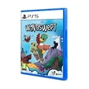 Windswept PS4 Game (Curveball)