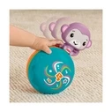 Fisher-Price Monkey Ball JLB95