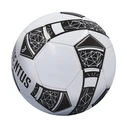 Juventus Ball Pro 2023 - Size 5 (119243)