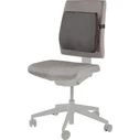 Fellowes Breyta Comfort Cushion Back Support