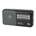 Blow RA4 Portable Analog AM/FM Radio (2x R20/D batteries, Black)