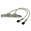 Καλώδιο USB StarTech USBPLATE USB A IDC