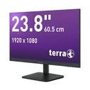 Monitor 23,8" (1920x1080) Terra 2427W V2 16:9 FHD VA 5ms 100Hz HDMI DP USB-C Vesa Black